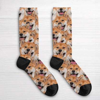 65685f099d3cf_large.webp
