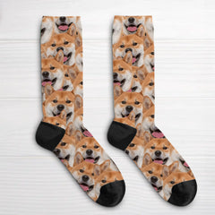 65685f099d3cf_large.webp
