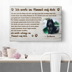 61ee81516bddb_large.webp