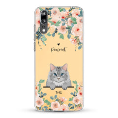 62dfc9d226d83_large.webp