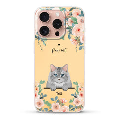 66b5e4a5d3afb_large.webp