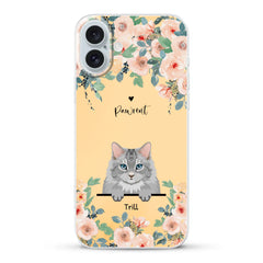66b5e4746cfb6_large.webp