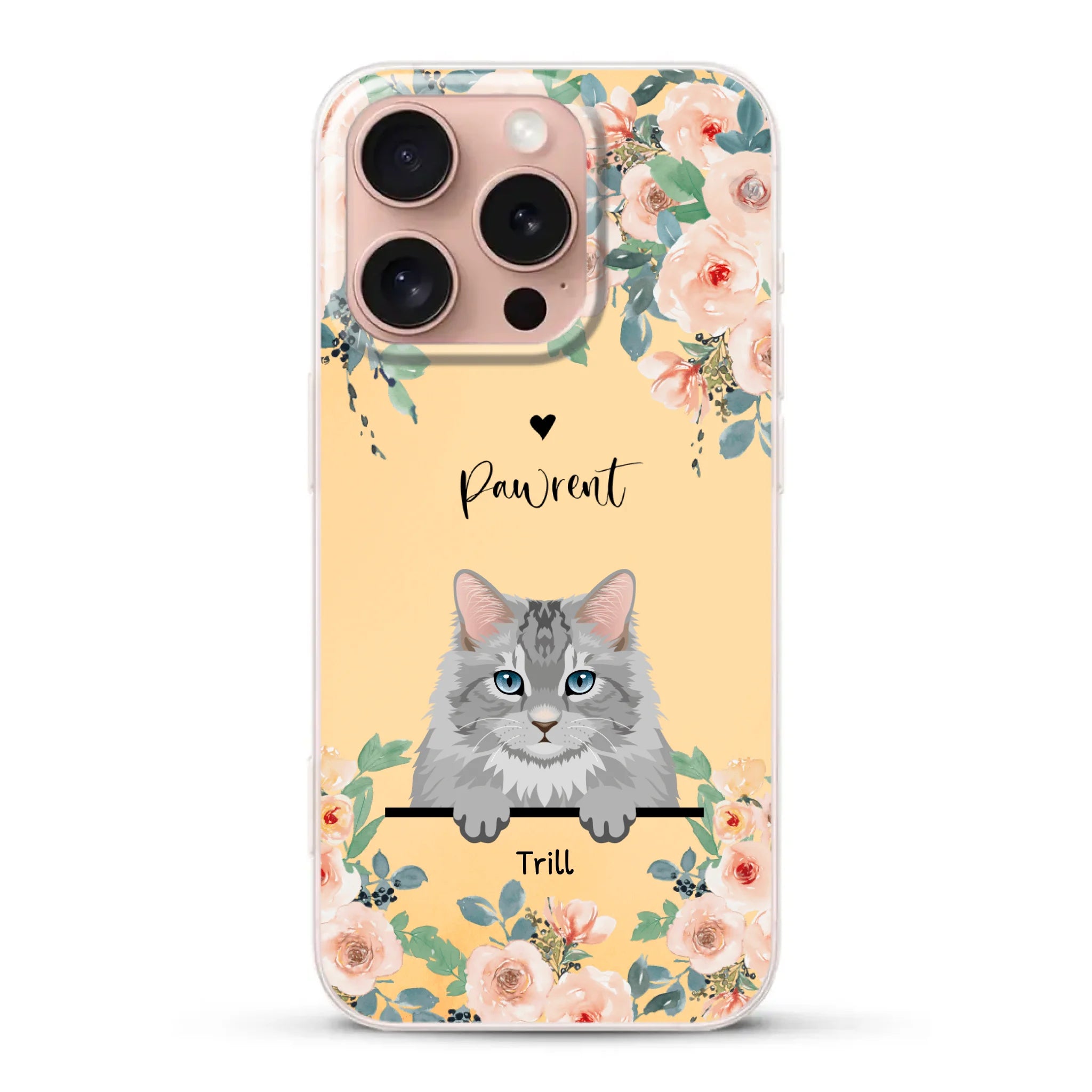 66b5e4a5d3afb_large.webp