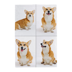 66d6dc0e4cb6c_large