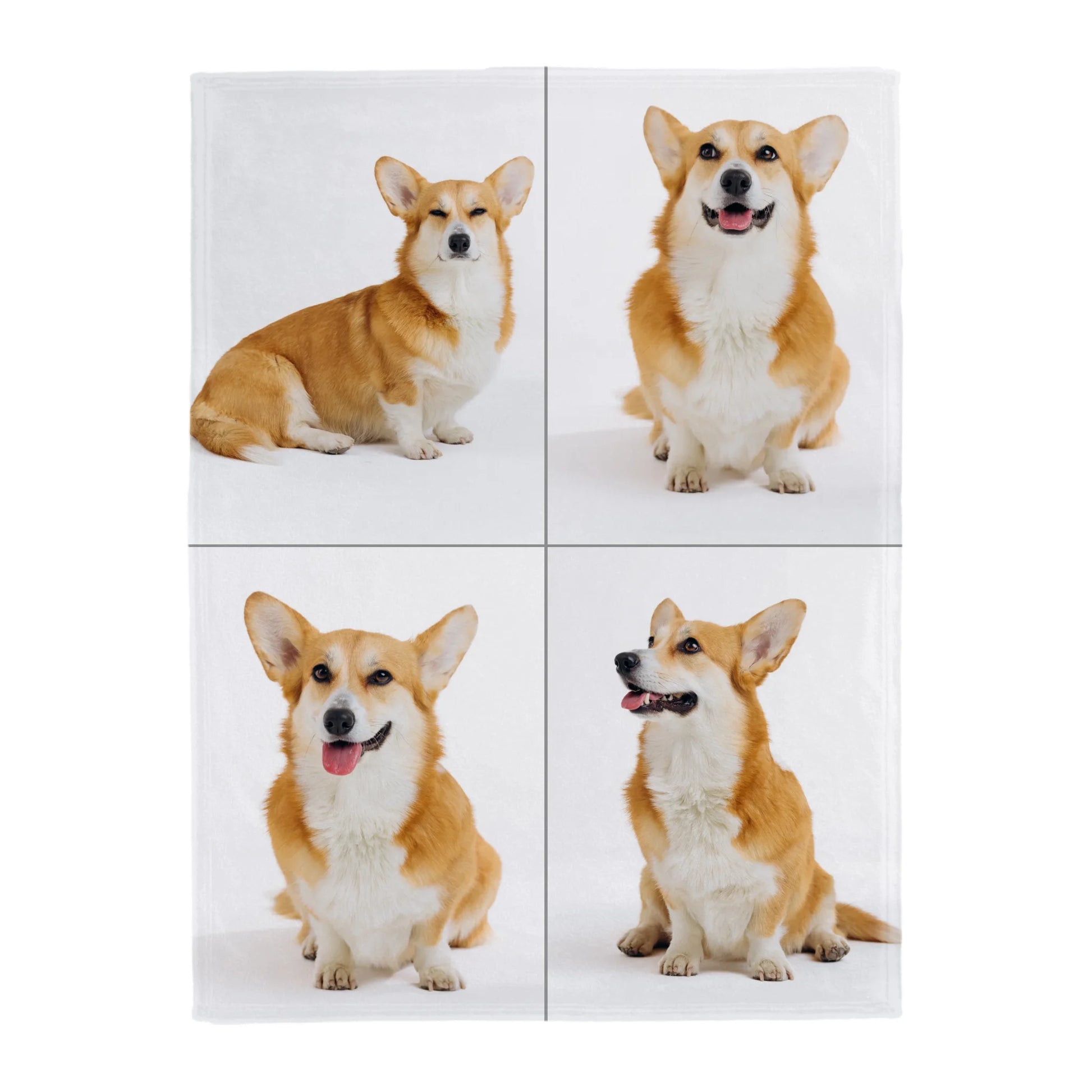66d6d90b1a10e_large